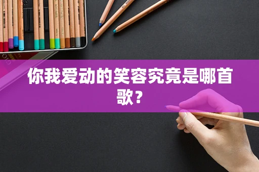 你我爱动的笑容究竟是哪首歌？