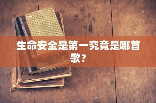 生命安全是第一究竟是哪首歌？