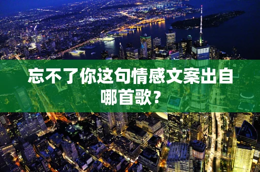 忘不了你这句情感文案出自哪首歌？