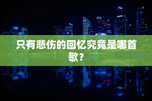 只有悲伤的回忆究竟是哪首歌？