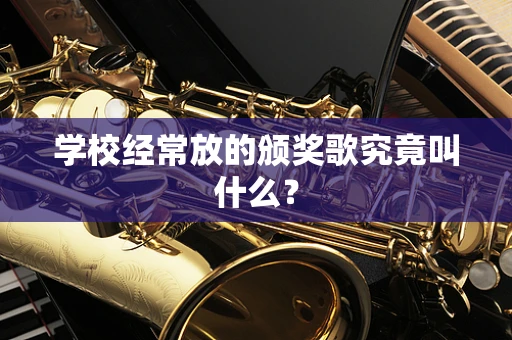 学校经常放的颁奖歌究竟叫什么？
