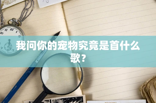 我问你的宠物究竟是首什么歌？