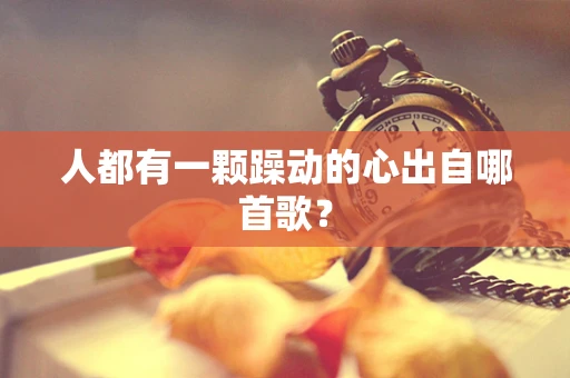 人都有一颗躁动的心出自哪首歌？