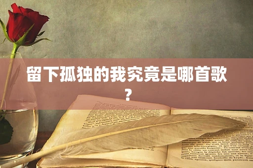 留下孤独的我究竟是哪首歌？