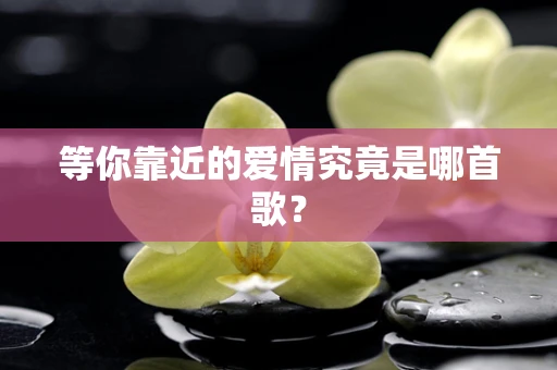 等你靠近的爱情究竟是哪首歌？