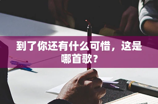 到了你还有什么可惜，这是哪首歌？