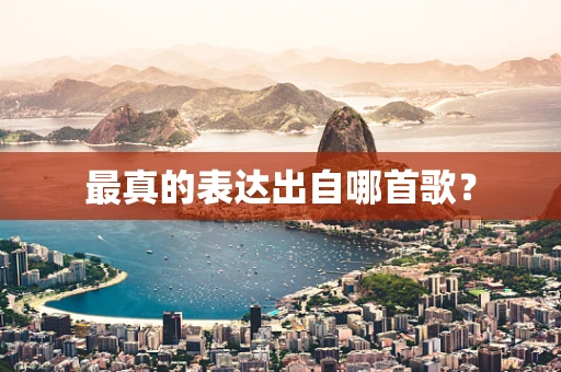 最真的表达出自哪首歌？
