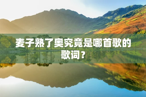 麦子熟了奥究竟是哪首歌的歌词？