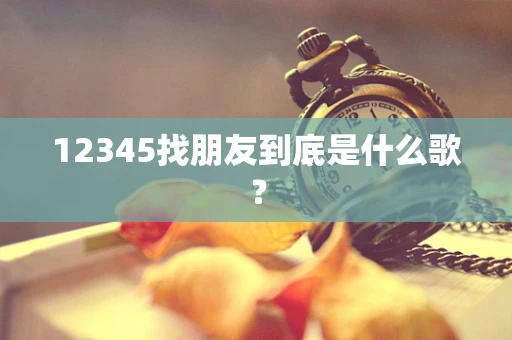 12345找朋友到底是什么歌？