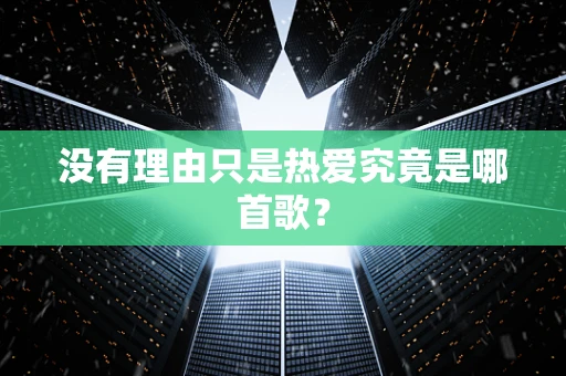 没有理由只是热爱究竟是哪首歌？