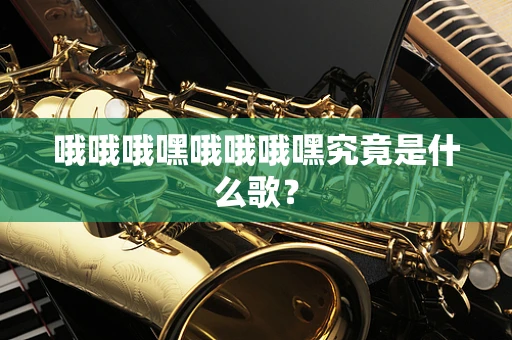 哦哦哦嘿哦哦哦嘿究竟是什么歌？