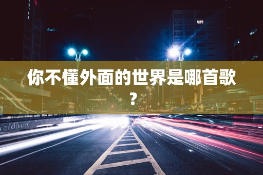 你不懂外面的世界是哪首歌？