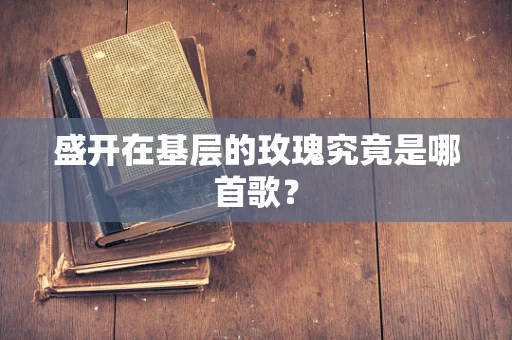 盛开在基层的玫瑰究竟是哪首歌？