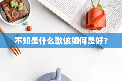 不知是什么歌该如何是好？