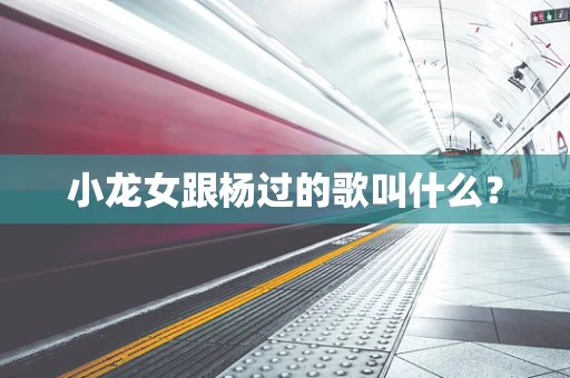 小龙女跟杨过的歌叫什么？