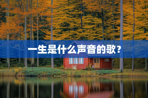 一生是什么声音的歌？