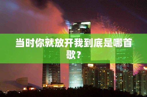 当时你就放开我到底是哪首歌？