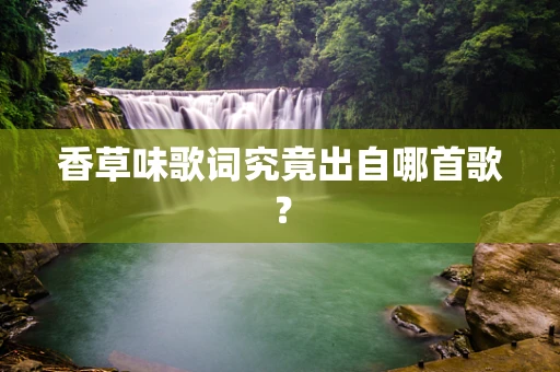 香草味歌词究竟出自哪首歌？