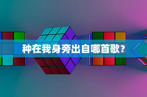 种在我身旁出自哪首歌？