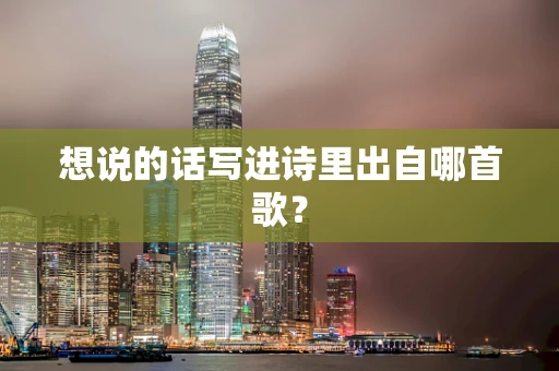 想说的话写进诗里出自哪首歌？