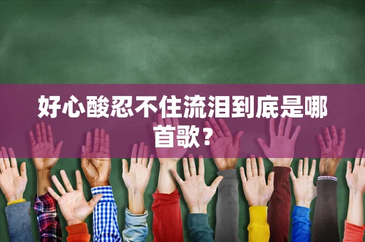 好心酸忍不住流泪到底是哪首歌？