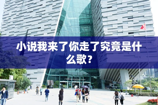 小说我来了你走了究竟是什么歌？