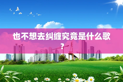 也不想去纠缠究竟是什么歌？