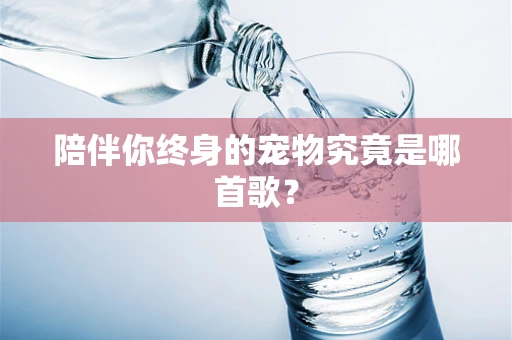 陪伴你终身的宠物究竟是哪首歌？