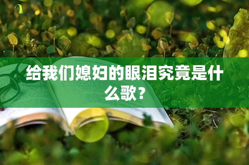 给我们媳妇的眼泪究竟是什么歌？