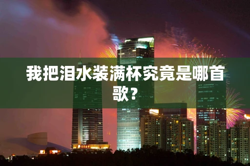 我把泪水装满杯究竟是哪首歌？