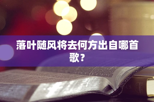 落叶随风将去何方出自哪首歌？