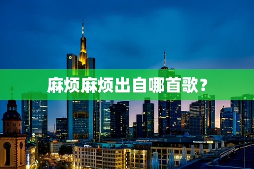 麻烦麻烦出自哪首歌？