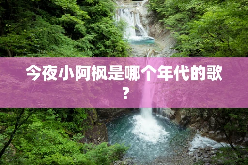 今夜小阿枫是哪个年代的歌？