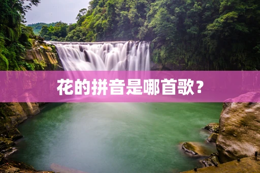 花的拼音是哪首歌？