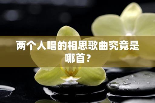 两个人唱的相思歌曲究竟是哪首？