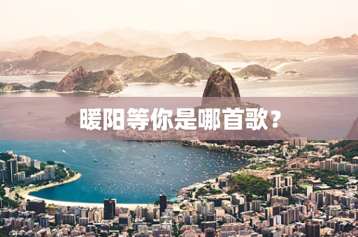 暖阳等你是哪首歌？