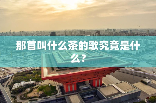那首叫什么茶的歌究竟是什么？