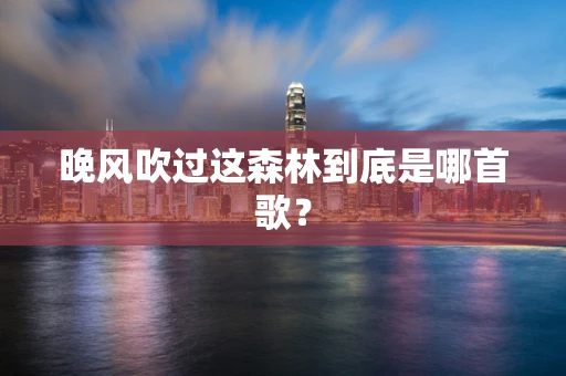 晚风吹过这森林到底是哪首歌？