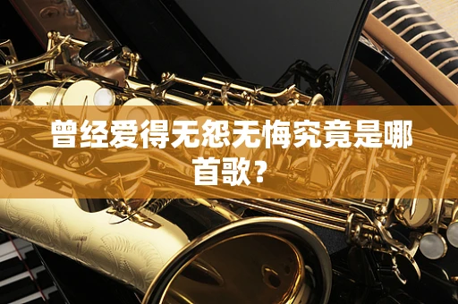 曾经爱得无怨无悔究竟是哪首歌？