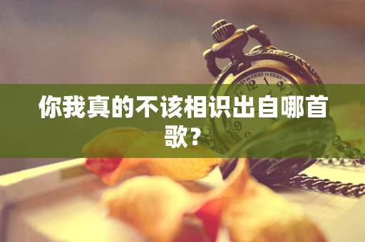 你我真的不该相识出自哪首歌？