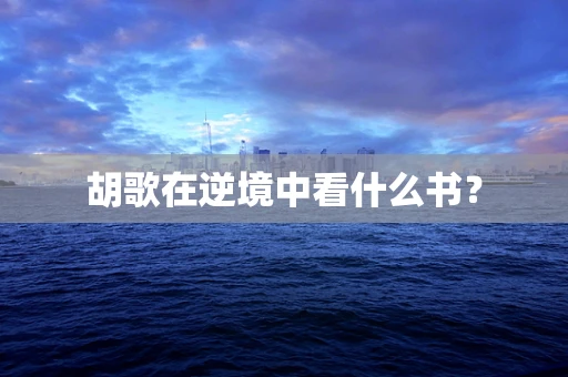 胡歌在逆境中看什么书？