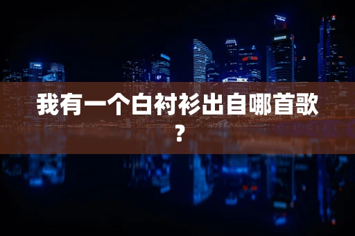 我有一个白衬衫出自哪首歌？