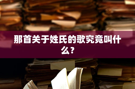 那首关于姓氏的歌究竟叫什么？