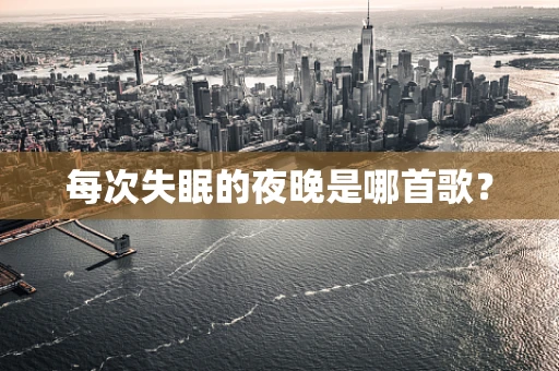 每次失眠的夜晚是哪首歌？