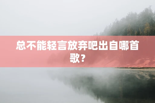 总不能轻言放弃吧出自哪首歌？