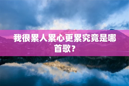 我很累人累心更累究竟是哪首歌？