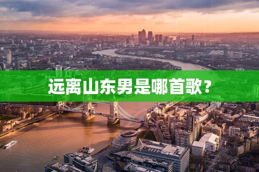 远离山东男是哪首歌？