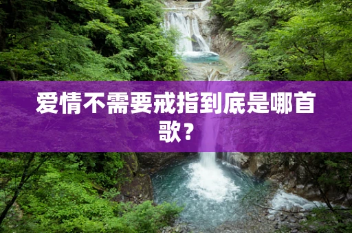 爱情不需要戒指到底是哪首歌？