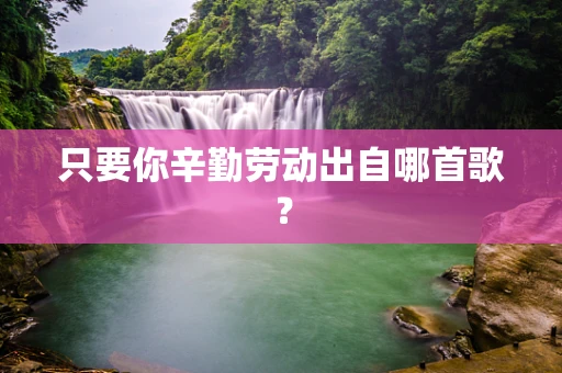 只要你辛勤劳动出自哪首歌？