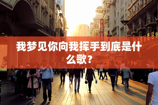 我梦见你向我挥手到底是什么歌？